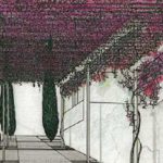 Jardines de Papel – Toni Andrés