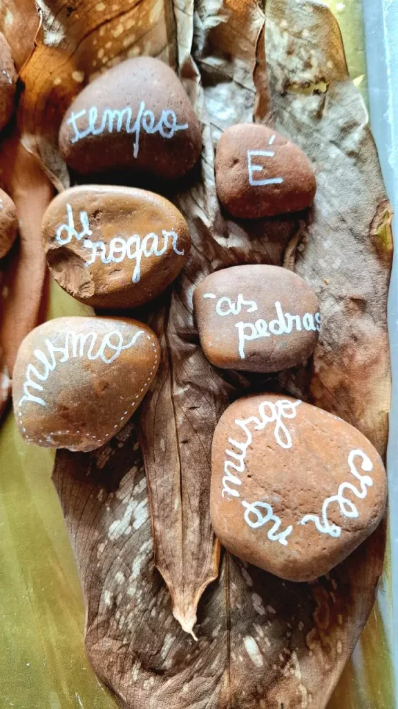 Exhibición Anima Animalis Vegetabilis - Imagen de piedras