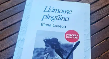 LA MEMORIA DE LAS DOS ÚLTIMAS DÉCADAS DEL SIGLO XX 1980-2000 UNA NOVELA DE ELENA LASECA